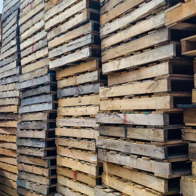 Pallet storage area with organized rows